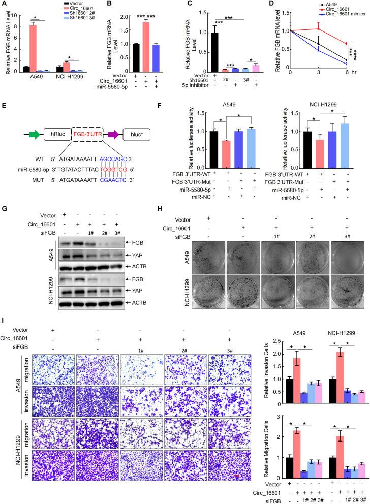 https://cdn.ncbi.nlm.nih.gov/pmc/blobs/3789/10642073/182aa626db3a/12931_2023_2566_Fig5_HTML.jpg