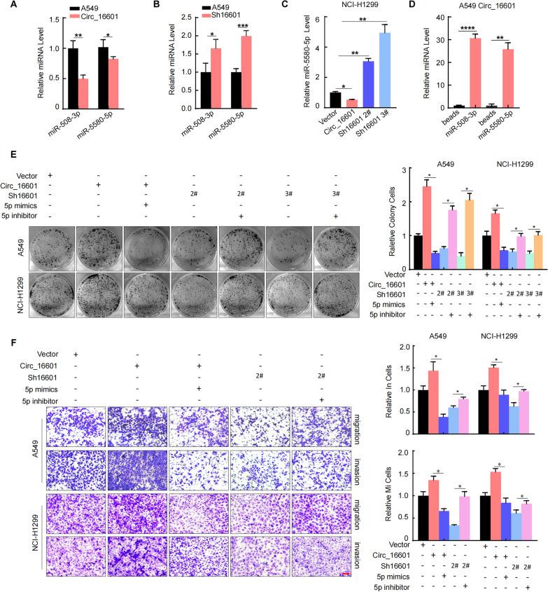 https://cdn.ncbi.nlm.nih.gov/pmc/blobs/3789/10642073/1cd5af7a9106/12931_2023_2566_Fig4_HTML.jpg