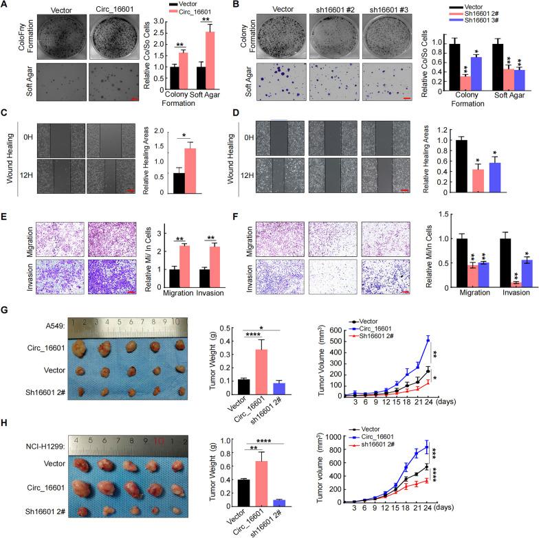 https://cdn.ncbi.nlm.nih.gov/pmc/blobs/3789/10642073/48589f2ff5c4/12931_2023_2566_Fig2_HTML.jpg