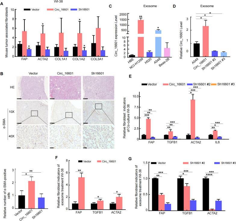 https://cdn.ncbi.nlm.nih.gov/pmc/blobs/3789/10642073/69ac67772bf1/12931_2023_2566_Fig3_HTML.jpg