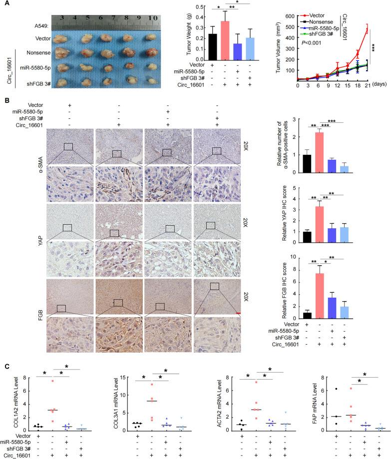 https://cdn.ncbi.nlm.nih.gov/pmc/blobs/3789/10642073/dfe85fdf5e4b/12931_2023_2566_Fig7_HTML.jpg