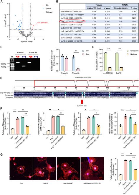 https://cdn.ncbi.nlm.nih.gov/pmc/blobs/378c/11850654/2ed92aa5085f/research.0626.fig.001.jpg