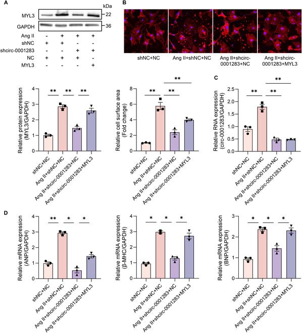 https://cdn.ncbi.nlm.nih.gov/pmc/blobs/378c/11850654/6c14dd0fea19/research.0626.fig.003.jpg