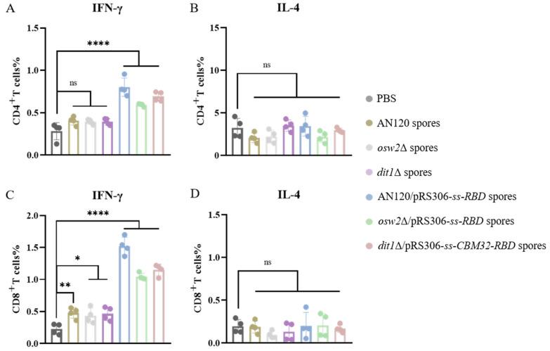 https://cdn.ncbi.nlm.nih.gov/pmc/blobs/378e/12026953/39c1b7cb5c9a/ijms-26-03615-g005.jpg