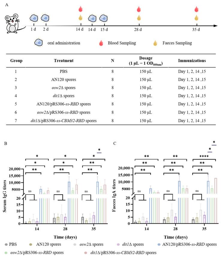 https://cdn.ncbi.nlm.nih.gov/pmc/blobs/378e/12026953/714b8e802bb3/ijms-26-03615-g004.jpg