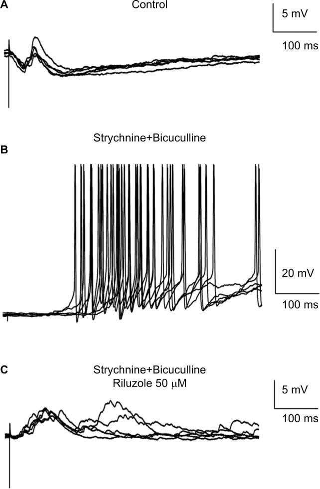 https://cdn.ncbi.nlm.nih.gov/pmc/blobs/3791/6209077/d3e1389e3f1d/jpr-11-2577Fig4.jpg