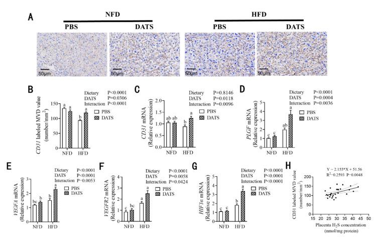 https://cdn.ncbi.nlm.nih.gov/pmc/blobs/3791/9182607/637b30cf055a/nutrients-14-02230-g004.jpg