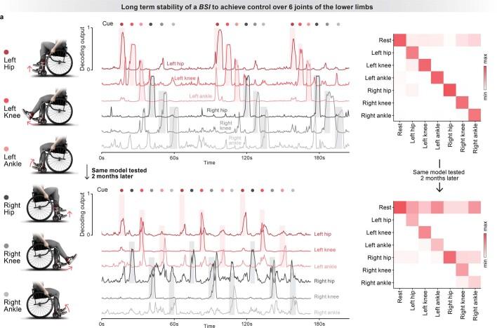 https://cdn.ncbi.nlm.nih.gov/pmc/blobs/3792/10232367/e5ff4687bc68/41586_2023_6094_Fig10_ESM.jpg