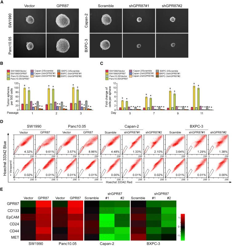 https://cdn.ncbi.nlm.nih.gov/pmc/blobs/3793/7210383/01b5cb389fd8/gr2.jpg