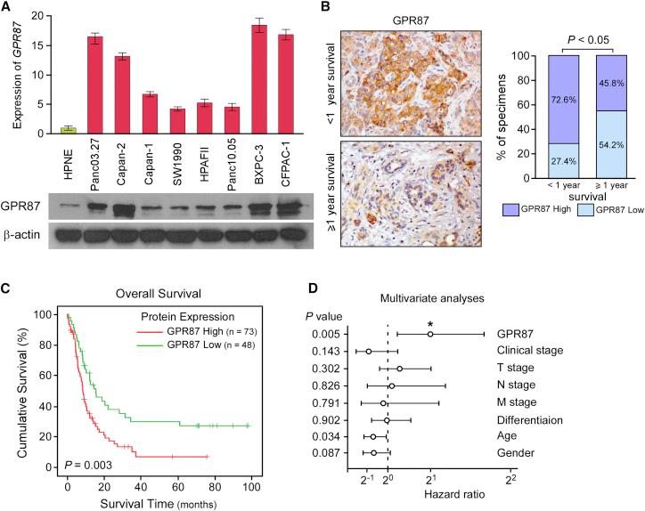 https://cdn.ncbi.nlm.nih.gov/pmc/blobs/3793/7210383/bdb88151ad0d/gr1.jpg