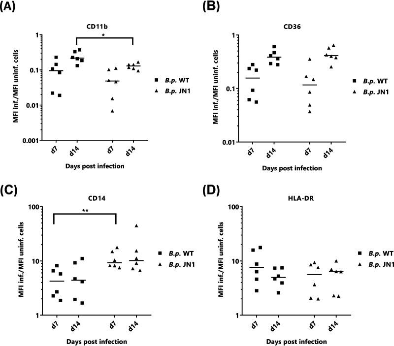 https://cdn.ncbi.nlm.nih.gov/pmc/blobs/3796/7742992/bd4ef779e3fb/mSystems.00612-20-f0005.jpg