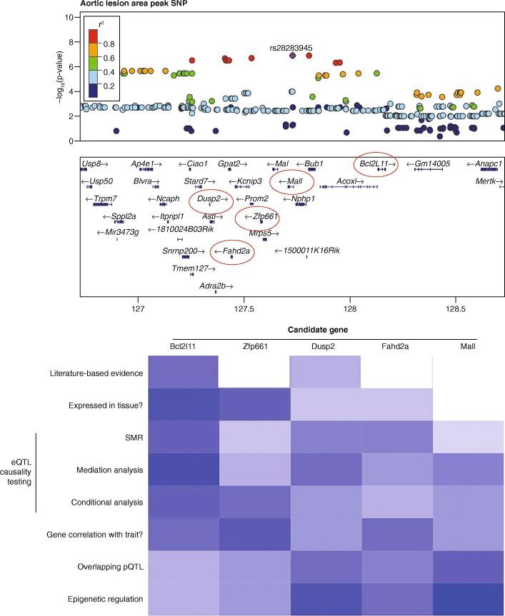 https://cdn.ncbi.nlm.nih.gov/pmc/blobs/3797/5418815/ca8bca1e0025/13059_2017_1215_Fig2_HTML.jpg