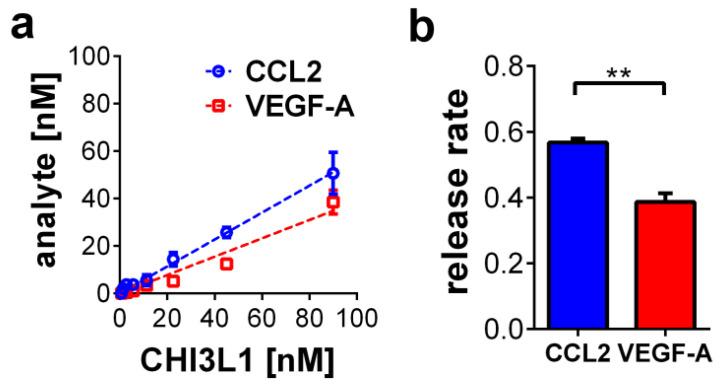 https://cdn.ncbi.nlm.nih.gov/pmc/blobs/3797/8069096/098c25285f4c/ijms-22-03912-g005.jpg