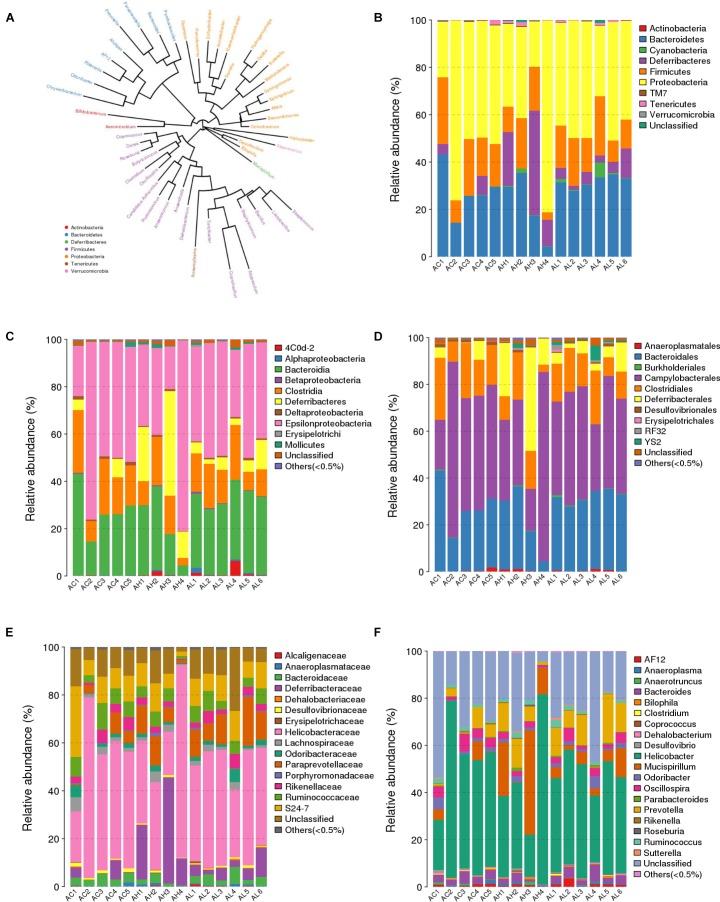 https://cdn.ncbi.nlm.nih.gov/pmc/blobs/3798/6207688/ffbf623d4b8f/fmicb-09-02552-g004.jpg