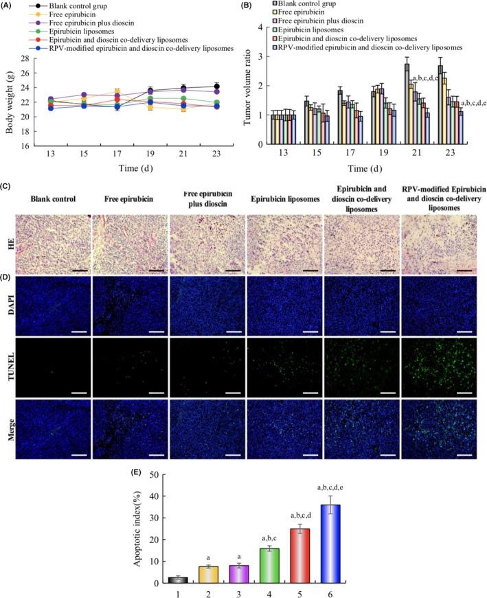 https://cdn.ncbi.nlm.nih.gov/pmc/blobs/379a/7004549/7250dfa03bf9/CAS-111-621-g008.jpg