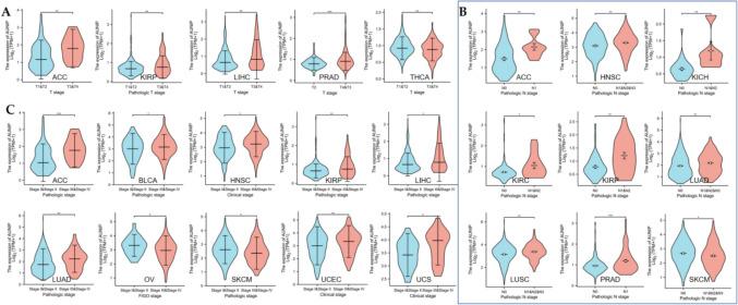 https://cdn.ncbi.nlm.nih.gov/pmc/blobs/379c/12085456/f8cce5623f5a/13205_2025_4294_Fig3_HTML.jpg