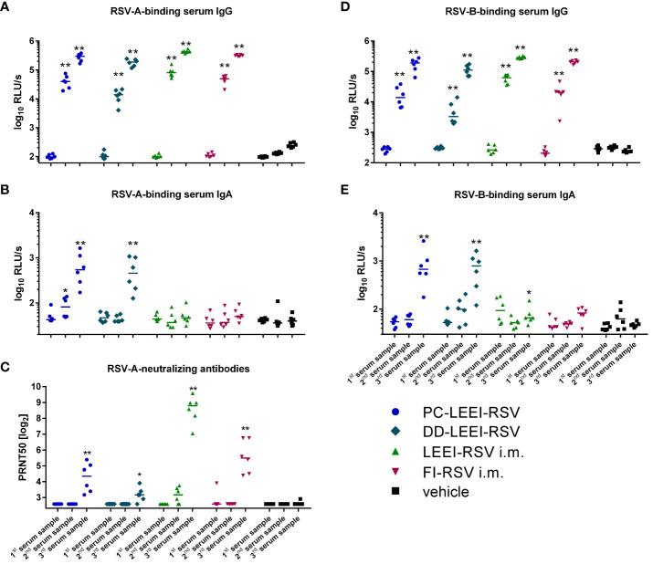 https://cdn.ncbi.nlm.nih.gov/pmc/blobs/379d/11026718/d76171175bf2/fimmu-15-1382318-g003.jpg