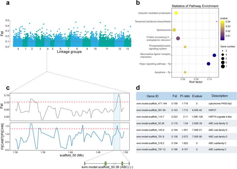 https://cdn.ncbi.nlm.nih.gov/pmc/blobs/379d/9400205/5425035d695b/12915_2022_1388_Fig5_HTML.jpg