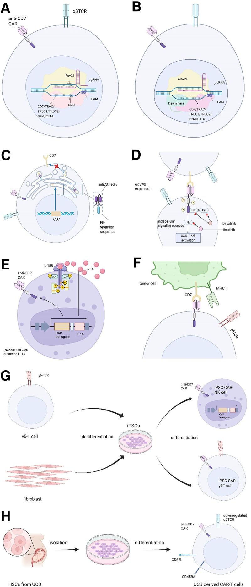 https://cdn.ncbi.nlm.nih.gov/pmc/blobs/379f/12327587/2436d4092f63/bs9-7-e00247-g001.jpg