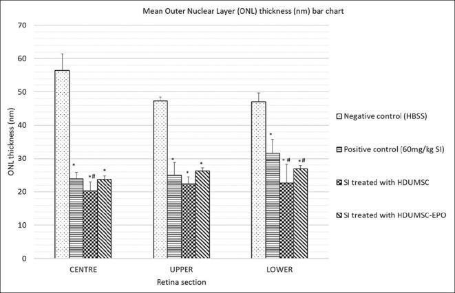 https://cdn.ncbi.nlm.nih.gov/pmc/blobs/379f/9114553/6ff50578d1d2/IJO-70-921-g003.jpg