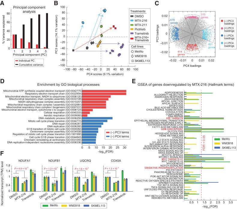 https://cdn.ncbi.nlm.nih.gov/pmc/blobs/37a0/9845987/6a7e4462a78f/316fig5.jpg