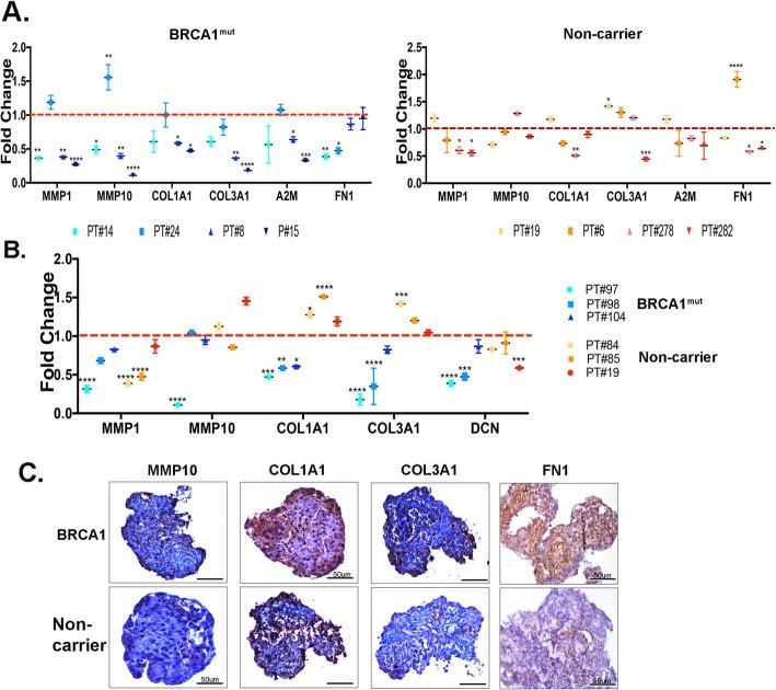 https://cdn.ncbi.nlm.nih.gov/pmc/blobs/37a2/6878650/17ba9797708a/13058_2019_1214_Fig4_HTML.jpg