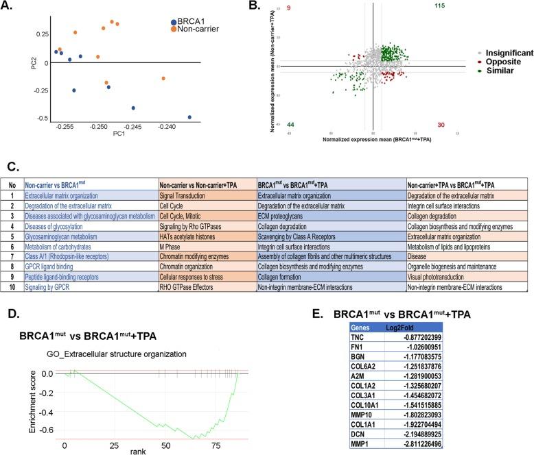 https://cdn.ncbi.nlm.nih.gov/pmc/blobs/37a2/6878650/7fd7d097d014/13058_2019_1214_Fig3_HTML.jpg