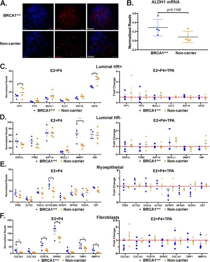 https://cdn.ncbi.nlm.nih.gov/pmc/blobs/37a2/6878650/d2cadad2a597/13058_2019_1214_Fig5_HTML.jpg
