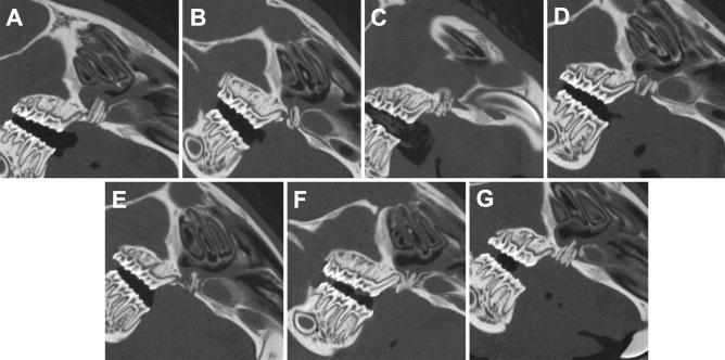 https://cdn.ncbi.nlm.nih.gov/pmc/blobs/37a2/7691372/fef9931b5a47/41598_2020_77862_Fig6_HTML.jpg
