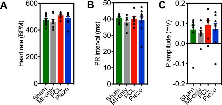 https://cdn.ncbi.nlm.nih.gov/pmc/blobs/37a4/12033997/1168905bb42e/mmcfigs10.jpg