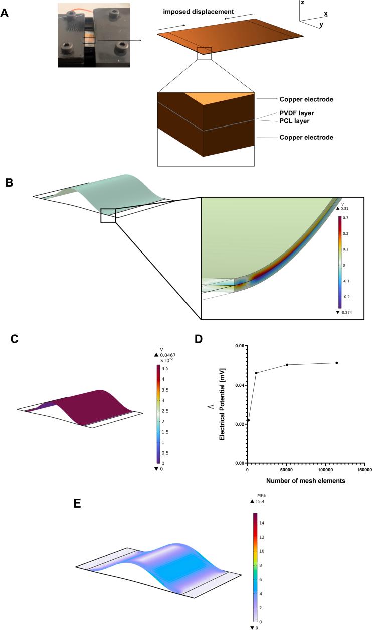 https://cdn.ncbi.nlm.nih.gov/pmc/blobs/37a4/12033997/4d04d7d2c41a/mmcfigs4.jpg