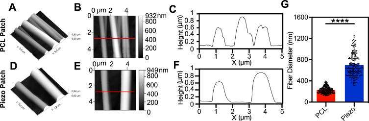 https://cdn.ncbi.nlm.nih.gov/pmc/blobs/37a4/12033997/6d4cb01d44e4/mmcfigs1.jpg