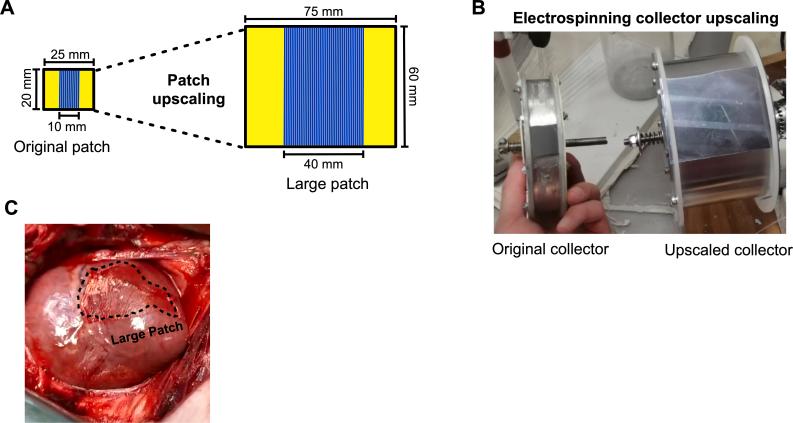 https://cdn.ncbi.nlm.nih.gov/pmc/blobs/37a4/12033997/8764b9293738/mmcfigs15.jpg