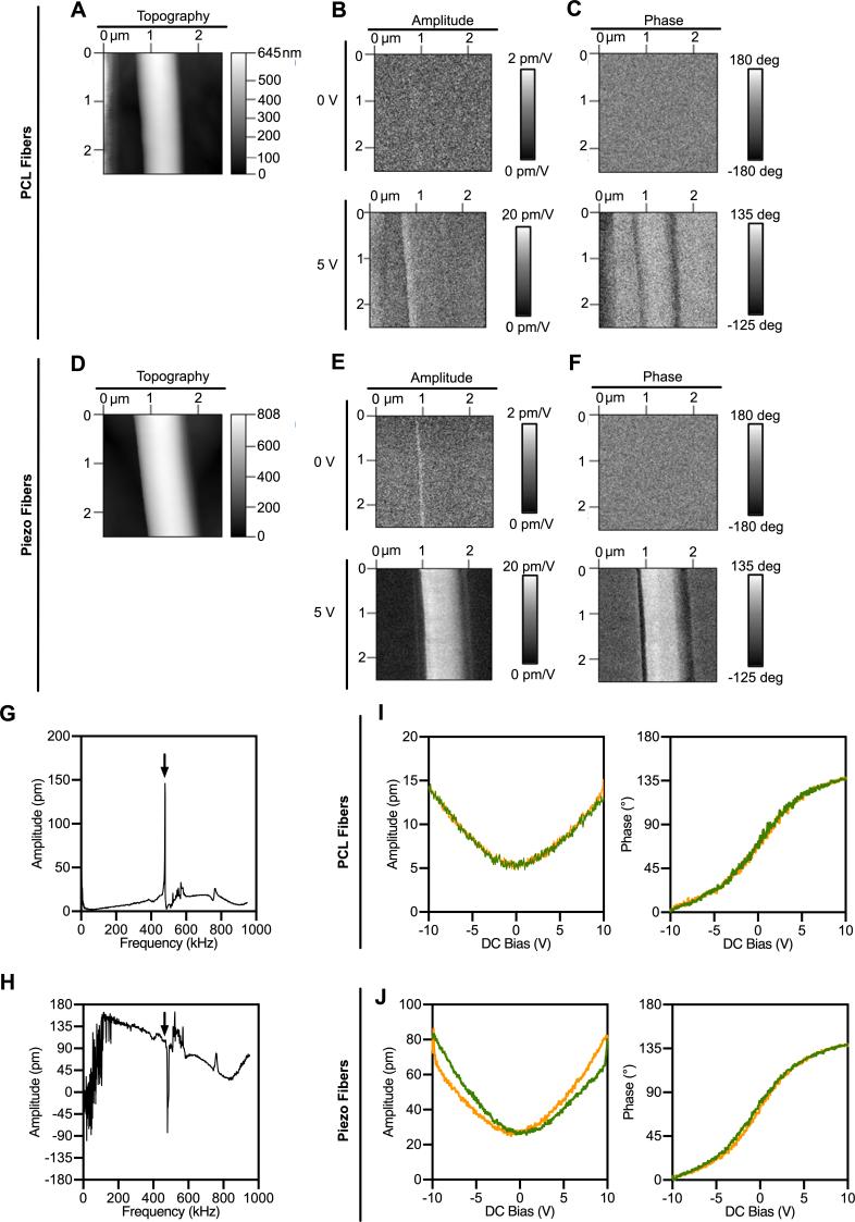 https://cdn.ncbi.nlm.nih.gov/pmc/blobs/37a4/12033997/937c0ad664bc/mmcfigs2.jpg