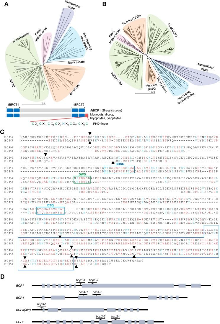 https://cdn.ncbi.nlm.nih.gov/pmc/blobs/37a5/11014961/34f1a9fc1b03/44319_2024_107_Fig7_ESM.jpg