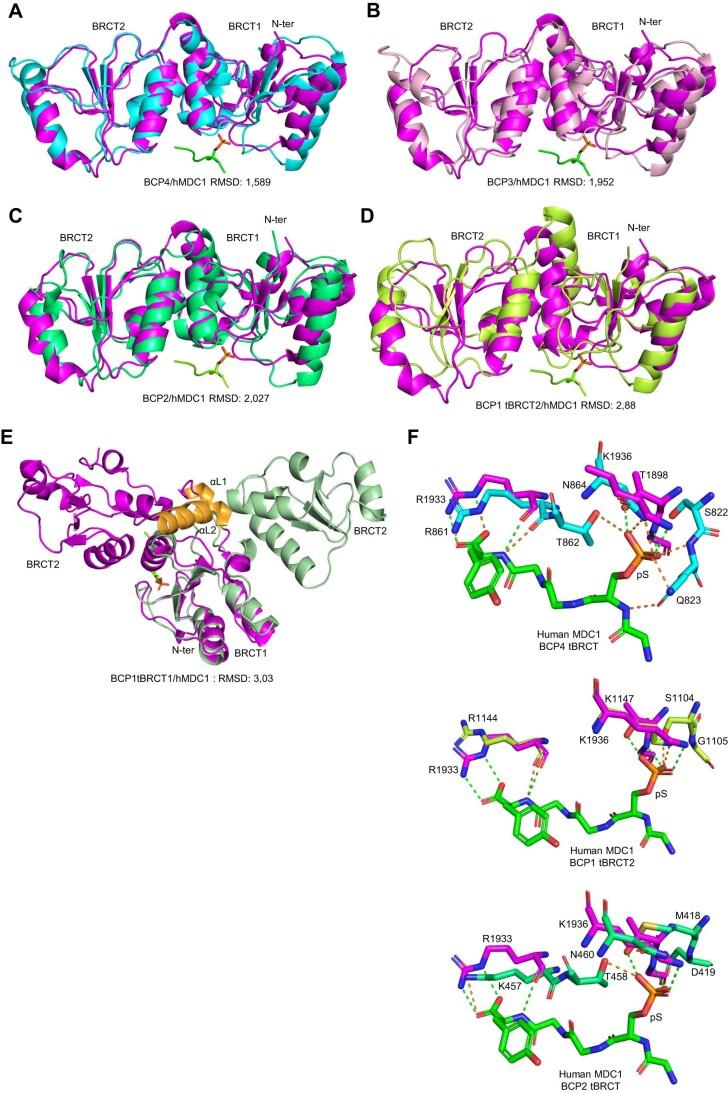https://cdn.ncbi.nlm.nih.gov/pmc/blobs/37a5/11014961/5b8f85bd3f39/44319_2024_107_Fig9_ESM.jpg