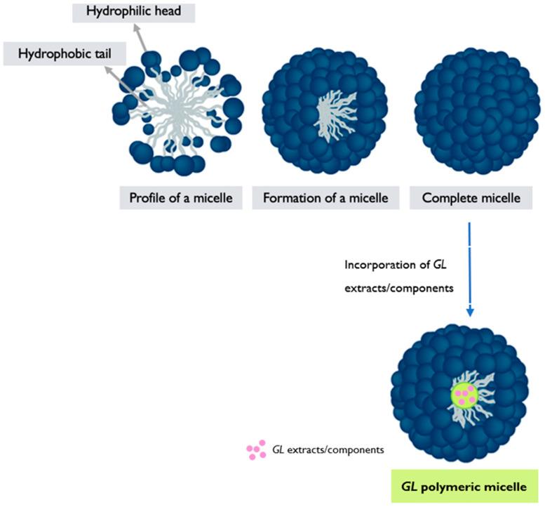 https://cdn.ncbi.nlm.nih.gov/pmc/blobs/37a6/12030363/6bb86ccd7498/pharmaceutics-17-00422-g005.jpg