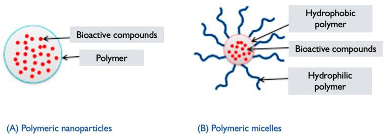 https://cdn.ncbi.nlm.nih.gov/pmc/blobs/37a6/12030363/bb782f0e6130/pharmaceutics-17-00422-g008.jpg