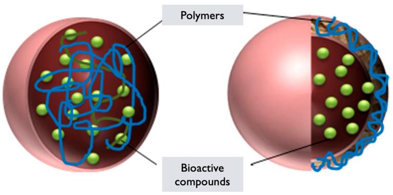 https://cdn.ncbi.nlm.nih.gov/pmc/blobs/37a6/12030363/d96bcbbf9916/pharmaceutics-17-00422-g007.jpg