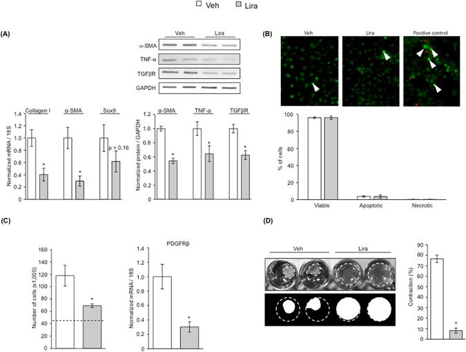 https://cdn.ncbi.nlm.nih.gov/pmc/blobs/37a6/5468330/24282ae8f7df/41598_2017_2866_Fig2_HTML.jpg