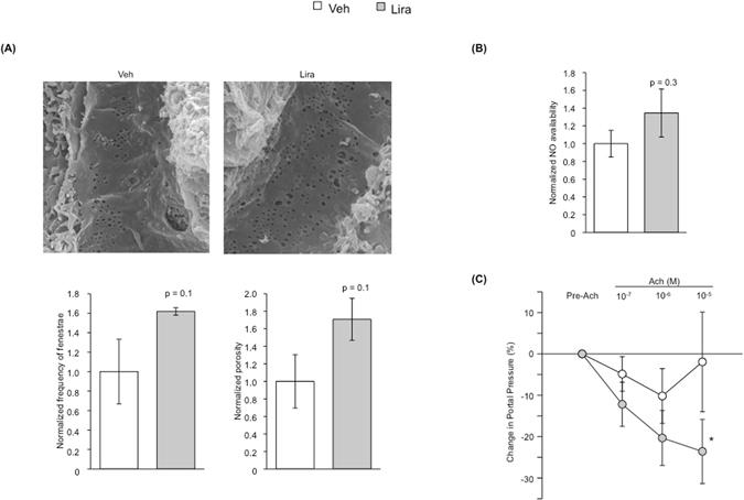 https://cdn.ncbi.nlm.nih.gov/pmc/blobs/37a6/5468330/27a9e22a9883/41598_2017_2866_Fig4_HTML.jpg