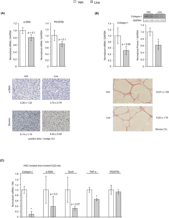 https://cdn.ncbi.nlm.nih.gov/pmc/blobs/37a6/5468330/3af197ee7fdd/41598_2017_2866_Fig3_HTML.jpg