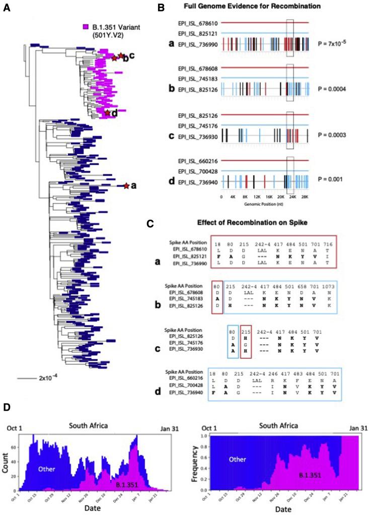 https://cdn.ncbi.nlm.nih.gov/pmc/blobs/37a6/8173590/2d928ccfde40/gr4_lrg.jpg