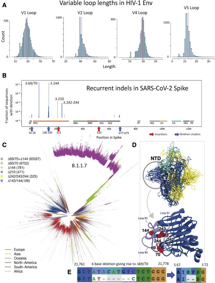 https://cdn.ncbi.nlm.nih.gov/pmc/blobs/37a6/8173590/5c58a2c25f4a/gr2_lrg.jpg