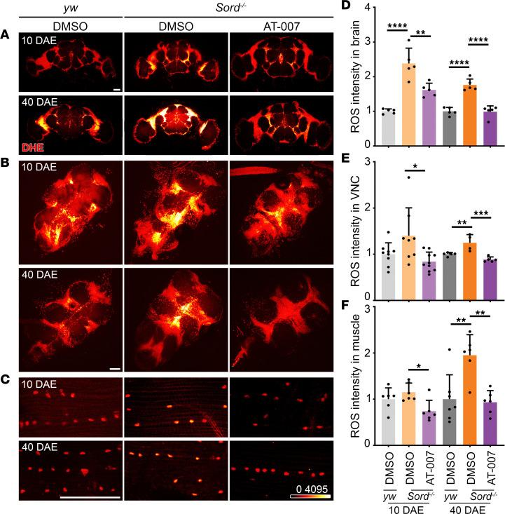 https://cdn.ncbi.nlm.nih.gov/pmc/blobs/37a7/10322690/453bbe304d81/jciinsight-8-164954-g201.jpg