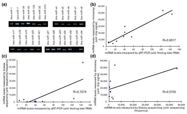 https://cdn.ncbi.nlm.nih.gov/pmc/blobs/37a7/2728532/d8870e3de71e/gb-2009-10-7-r78-3.jpg
