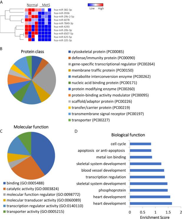 https://cdn.ncbi.nlm.nih.gov/pmc/blobs/37a9/8387871/bd0802f7ae6c/fendo-12-687586-g005.jpg