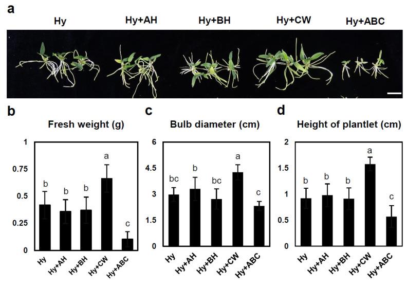 https://cdn.ncbi.nlm.nih.gov/pmc/blobs/37aa/11478780/f731bae16ace/plants-13-02721-g005.jpg