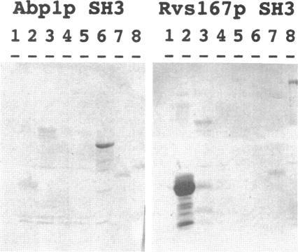 https://cdn.ncbi.nlm.nih.gov/pmc/blobs/37ab/276086/ffe483258b29/mbc00002-0181-a.jpg