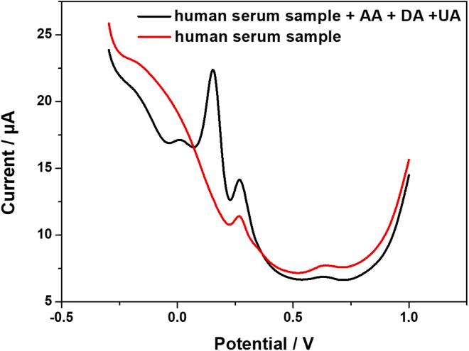 https://cdn.ncbi.nlm.nih.gov/pmc/blobs/37ac/10907839/fd426e376895/gr9.jpg
